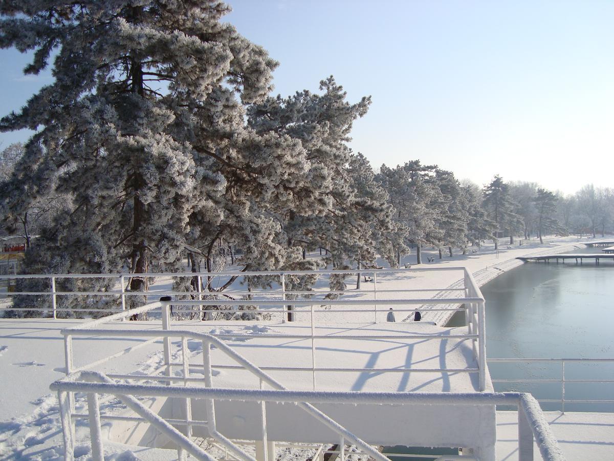 Vila Madams - Palic-Serbia Exterior foto